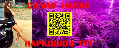 прущий лед Будённовск