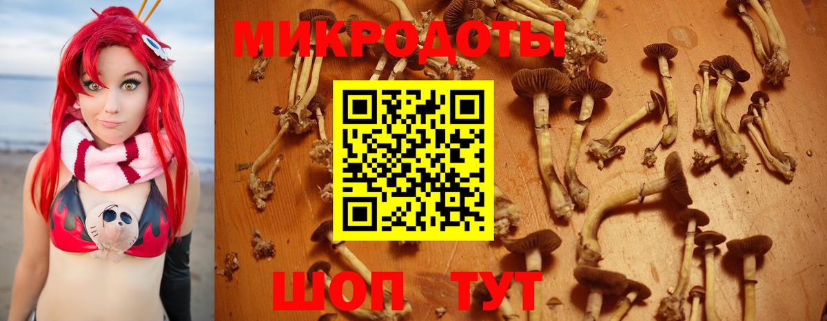 Галлюциногенные грибы Cubensis Ступино