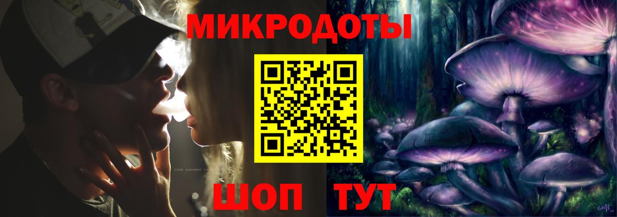 Ступино  Псилоцибиновые грибы Psilocybe  Вход с VPN 